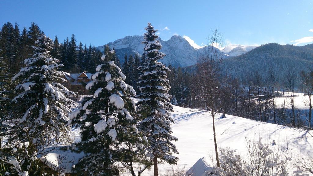 Villa Tatrydom Zakopane Room photo